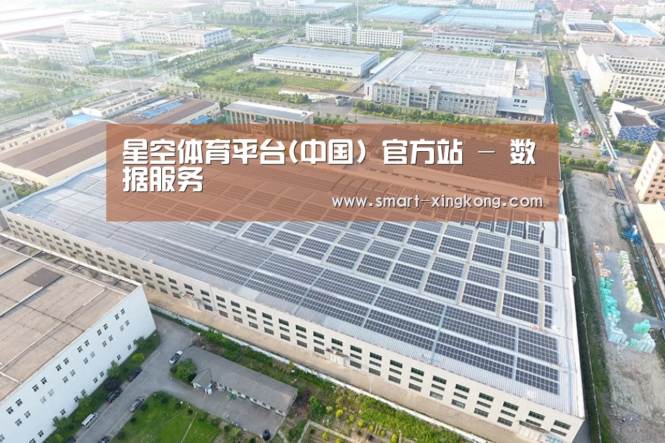 案例展示一