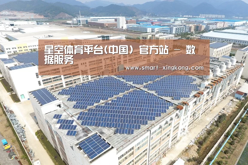 案例展示一