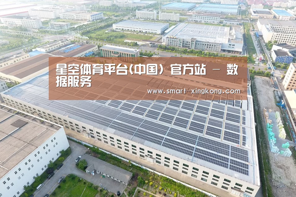 案例展示二