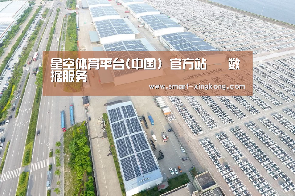案例展示一