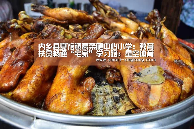 内乡县夏馆镇葛条爬中心小学:教育扶贫畅通“宅家”学习路:星空体育娱乐平台(图1) 星空体育网址