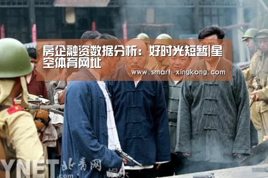 房企融资数据分析:好时光短暂|星空体育网址(图2) 星空体育